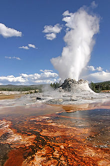 Nacionalni park Yellowstone je na seznamu svetovne dediščine