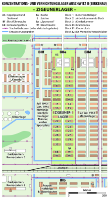 Graphic representation of the gypsy camp in the Auschwitz-Birkenau concentration camp