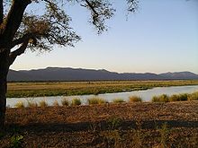 Zambezi River in Mana Pools National Park below Kariba Dam