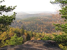 Taiga near Krasnoyarsk