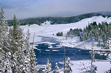 Yellowstone pozimi