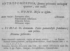 Detalė iš " Systema Naturae" 6-ojo leidimo (1748 m.), kuriame aprašoma Anthropomorpha (= primatai) ir skirstoma į Homo ir Simia