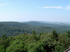 Teutoburgi mets