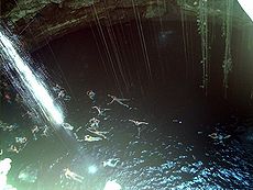Cenote en Quintana Roo  
