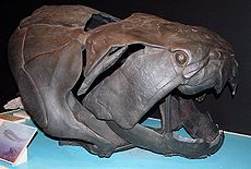 Dunkleosteus , ένα γιγάντιο θωρακισμένο αρθρόδιδο του ύστερου Δεβονίου. Με μήκος έως και 6 μέτρα, ζούσε στις εσωτερικές θάλασσες της Βόρειας Αμερικής.