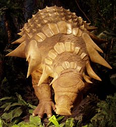 Edmontonia i Royal Tyrrell Museum of Palaeontology