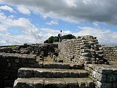 Housesteads forto liekanos