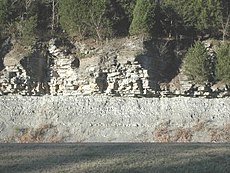 Kahdenlaista sedimenttikiveä: kalkkipitoinen liuske, jonka päällä on kalkkikiveä. Cumberlandin ylätasanko, Tennessee.