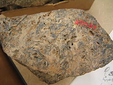 Muestra de mano del chert de Rhynie.