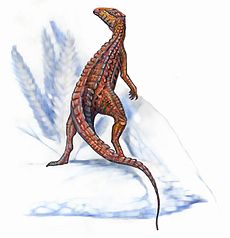 Scutellosaurus