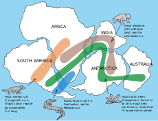 Distribuția geografică a Lystrosaurus și a fosilelor contemporane din Gondwana.