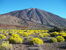 Teide Nationaal Park, Spanje