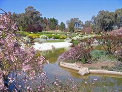 Basso lago con fiori di primavera