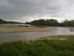 Confluence of the Loire and Allier rivers.