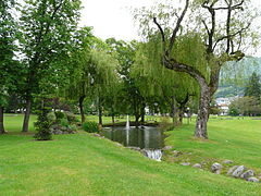 Stream of hot water in a park