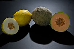 Cantalupi e meloni canarini.