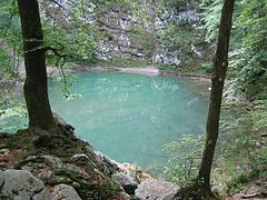 The Wild Lake (Slovene: Divje jezero).