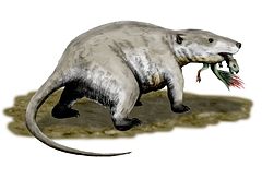 Repenomamus s'attaquait parfois aux jeunes dinosaures
