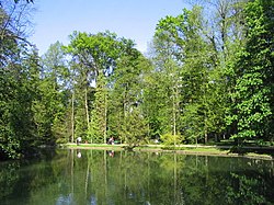 Copaci în jurul unui lac