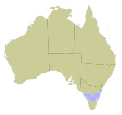 Harta Australiei cu Strâmtoarea Bass marcată în albastru deschis