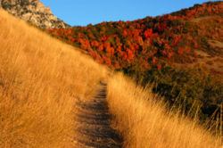 Una ruta de montaña.
