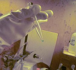 O alvo do berkelium utilizado para a síntese da tennessina, em forma de solução