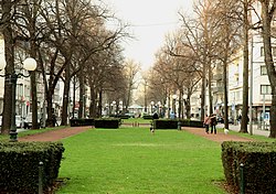 The four ramparts built in the 19th century characterize the cityscape of Krefeld's inner city. The picture shows the Ostwall, a magnificent boulevard.