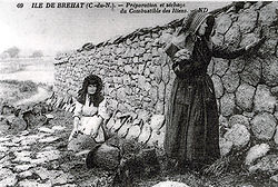Gödselkakor som förbereds som bränsle i Bretagne, ca 1900.