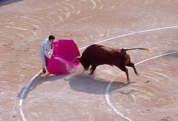 Suerte de capote : matador bruger kappen til at få tyren til at passere ham.