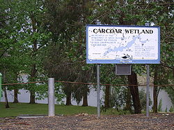 Zona umida di Carcoar