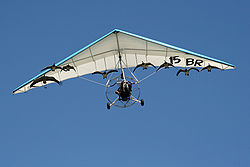 Gansos y grullas impresos volando con un avión ultraligero