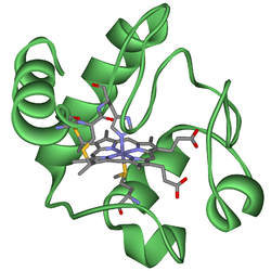 Cytochrom c s hemem c.  