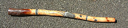 Tyypillinen didgeridoo