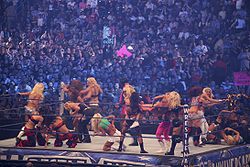 25 divų karališkoji kova per "WrestleMania XXV".