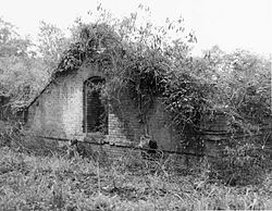 Fort St. Philip, Plaquemines Parish, Louisiana. Osa vanhan linnakkeen tiilirakenteista on osittain kasvien peitossa.  