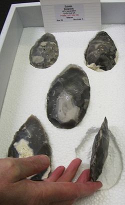 Hoogwaardig gereedschap dat uit de groeve van Boxgrove is gerecupereerd. Gemaakt van ca. 500.000 jaar geleden, wordt het toegeschreven aan de Homo heidelbergensis of aan de vroege H. neanderthalensis.