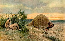 Glyptodon - ένας παλιός τύπος ζώου που σχετίζεται με το armadillo. Ζούσε στη Νότια Αμερική κατά τη διάρκεια του Πλειστόκαινου.
