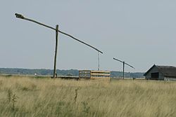 Maisema Pannonian tasangolta - Maatila Hortobágyissa, Unkari  