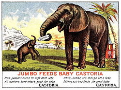 Jumbo fodrer en elefantunge med et afføringsmiddel kaldet Castoria i en reklame  