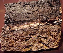 Die K/T-Grenze. Die Zwischenschicht aus Tonstein enthält 1000 Mal mehr Iridium als die obere und untere Schicht. Sie ist die Grenze zwischen Kreidezeit und Tertiär. Das Gestein stammt aus Wyoming, USA.