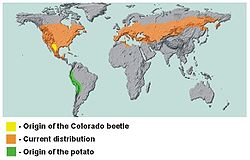 Colorado billens og kartoffelbilleens hjemlige udbredelsesområder