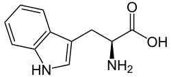 L-isomero del triptofano