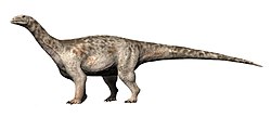 Ledumahadi  