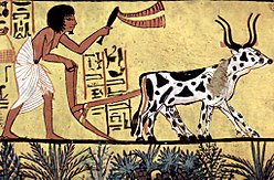 古代エジプトの農業