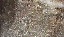 Un campione di roccia greywacke