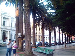 Keskusaukio, Curicó  