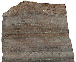 Kvarcit, oblika metamorfnega peščenjaka