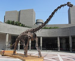 Qiaowanlong uit China, 100 mya
