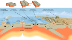 Diagram oceanskega grebena