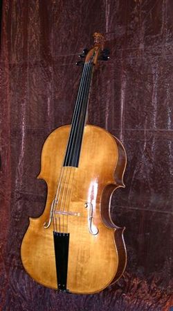 Ein Violone von Amit Tiefenbrunn